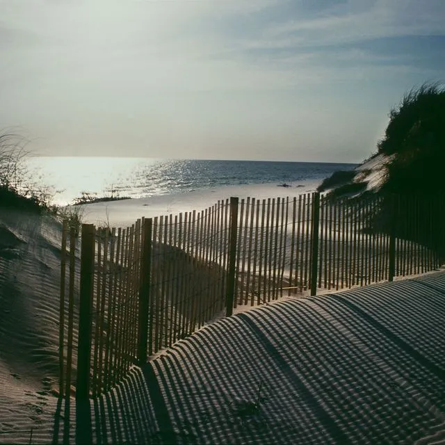 thumbnail for publication: Dune Restoration and Enhancement for the Florida Panhandle